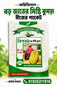 বিগ’বস বড় মিষ্টি কুমড়া বীজ ১ প্যাকেট ৪০০ টাকা