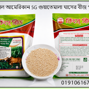 গুয়াতেমালা ঘাস বীজ ২ কেজি মাত্র ১৩৫০টাকা